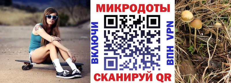 Купить где  Ангарск  Галлюциногенные грибы Cubensis 